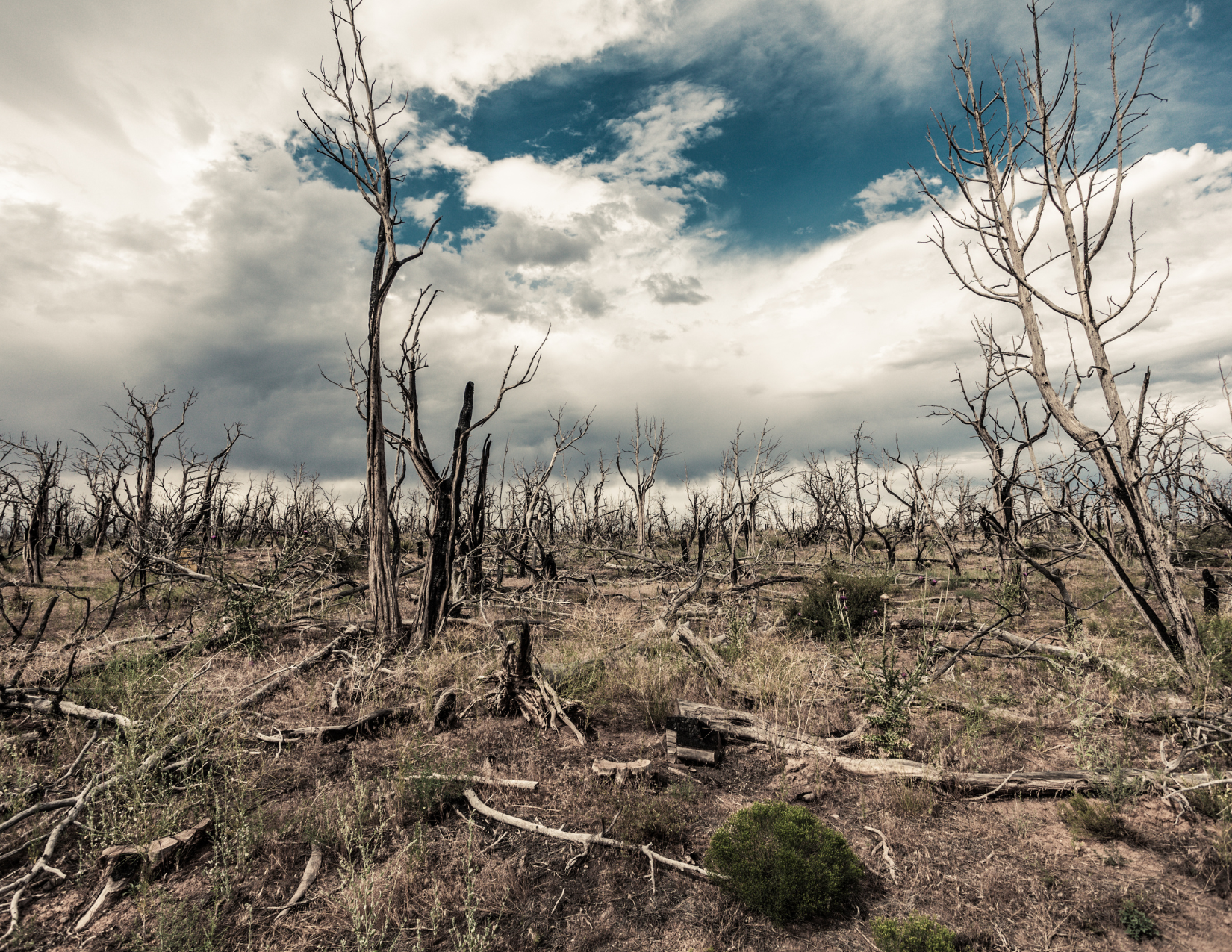 Featured image for “How Natural Disasters Can Impact Your Insurance Premiums ”